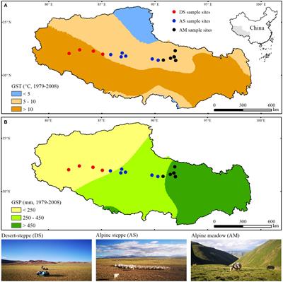 Climate overrides fencing and soil mineral nutrients to affect plant diversity and biomass of alpine grasslands across North Tibet